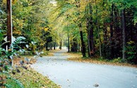 Visit our KOA in the Fall