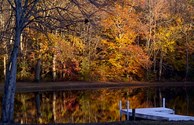 Pond during the Fall