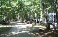 Wooded Area Sites