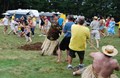 Tug-of-War