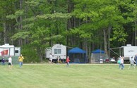 Wooded Back-In Sites