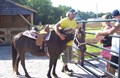 Pony Rides!