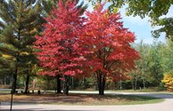 A sample of our beautiful fall colors!