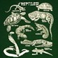 August 17-19: Reptile Weekend Photo