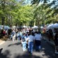 October 13-14: Colorfest Photo