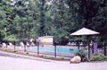 Heated Swimming Pool