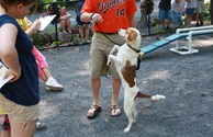 Doing tricks at the Pet Show