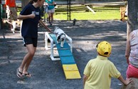 Running the Agility Course on the Pet Playground