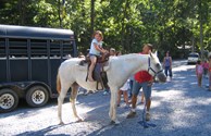 Pony rides for the kids!