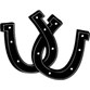 Horseshoes Photo