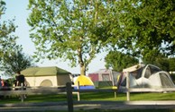 Large Group Tent Camping Area