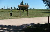 GRASSY PET WALK