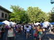 Farmers Market Photo