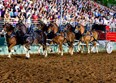 Horse Shows Photo