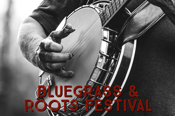Bluegrass and Roots Festival Photo