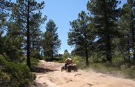Uncompahgre Plateau Day Trip