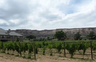 Taste some great wines w/great scenery