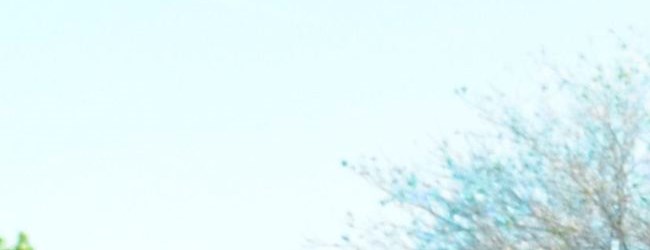 Grand Junction Koa Camping In Colorado Koa Campgrounds