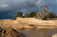 A view from The Narrows, nearby our KOA, inspires many to take up their art