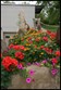 Vegetable Gardens, Flower Gardens Photo