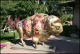 The Fiberglass Herd Photo