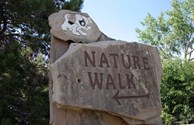 Nature Trail