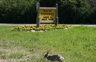Happy Trails