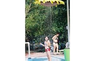Sunflower Showers!