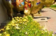 The Fiberglass Herd