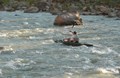 Kayaking on the Green River