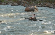 Kayaking on the Green River