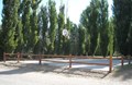 Basketball Court