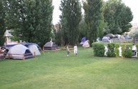 Grassy Tent Sites