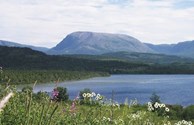 Gros Morne Mountain