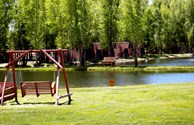 Trout / Paddle Boat Ponds