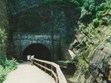 Hiking Walking Biking Photo