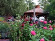 Beautiful landscaping: Photo