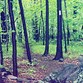 Appalachian Trial Photo
