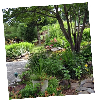 Stroll through the gardens, pick a veggie!