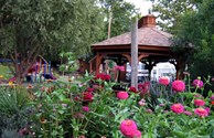 Enjoy the many different varieties of flowers