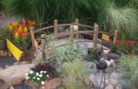 Shipwreck garden, one of many things to see