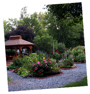 Stroll through the gardens, count the varieties of flowers
