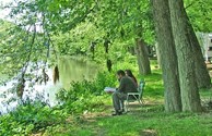 Peace and quiet
