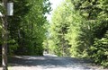 Roadway