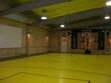 Basketball and Volleyball Photo