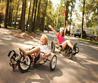 Bicycle Rentals Photo
