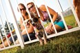 Kamp K-9 Dog Park Photo