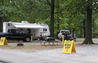 VIP Treatment