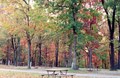 Autumn and Winter Camping