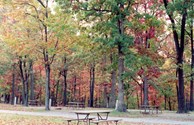 Autumn and Winter Camping